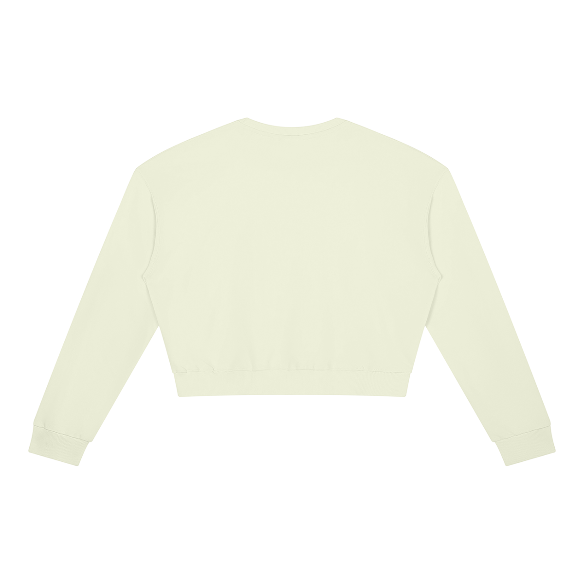 Cropped Crewneck Sweatshirt in Light Green, back view