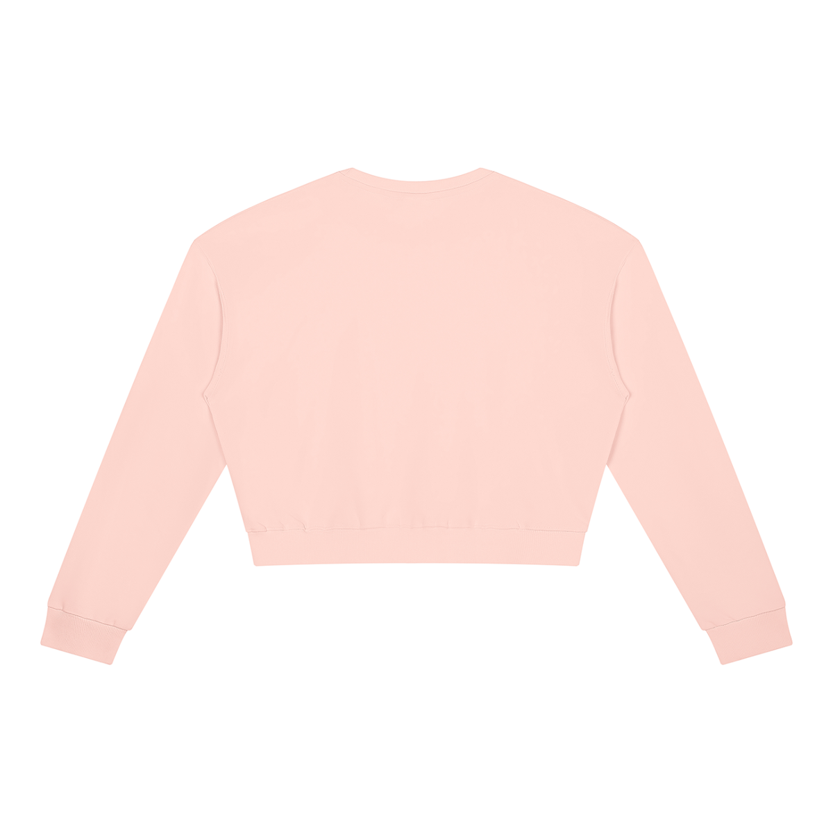 Cropped Crewneck Sweatshirt in Light Pink, back view