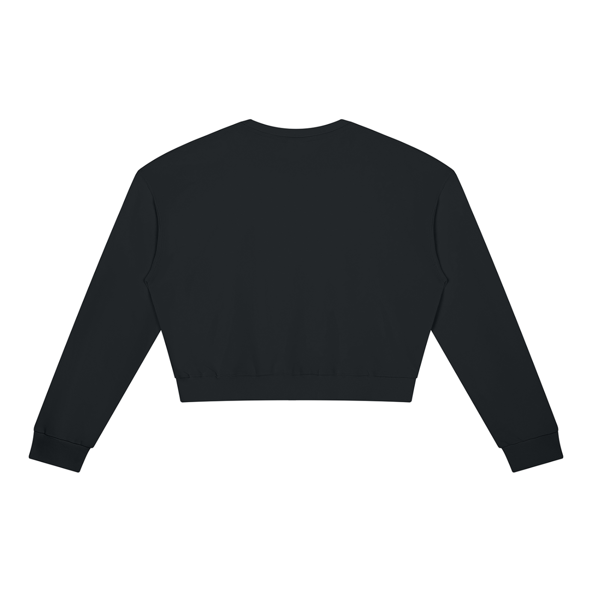 Cropped Crewneck Sweatshirt in Black, back view