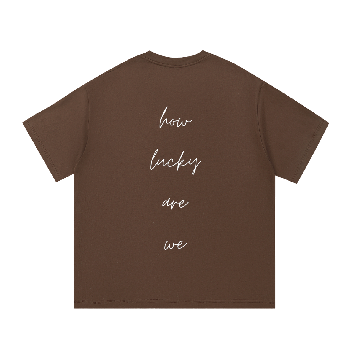 How Lucky Are We Tee in Coffee, back view