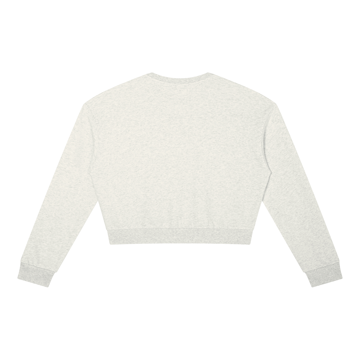 Cropped Crewneck Sweatshirt in Oat Gray, back view
