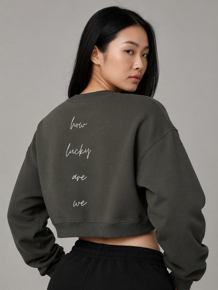 How Lucky Are We Cropped Sweatshirt in Dark Gray, worn, back